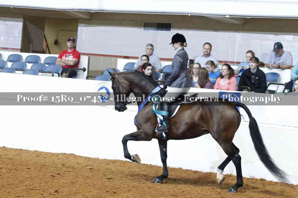 Proof Number 15R9_07452