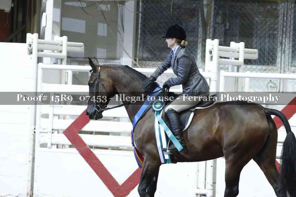 Proof Number 15R9_07453