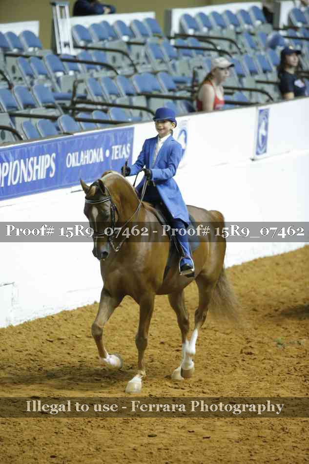 Proof Number 15R9_07462