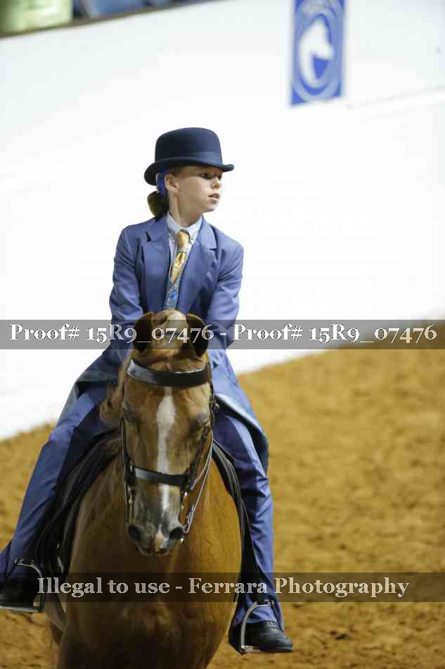 Proof Number 15R9_07476