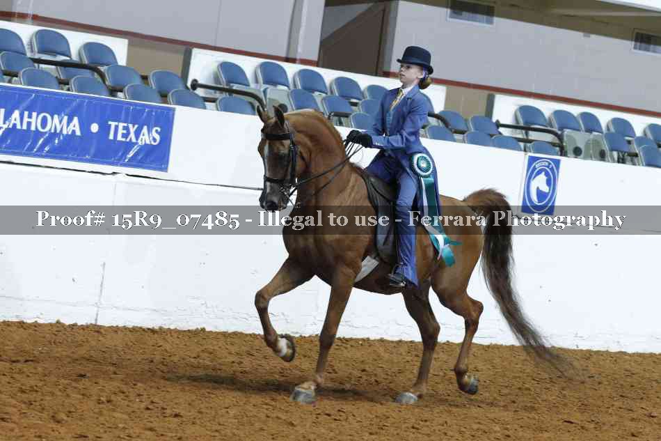 Proof Number 15R9_07485