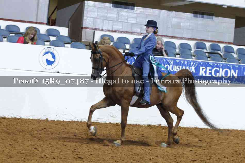 Proof Number 15R9_07487