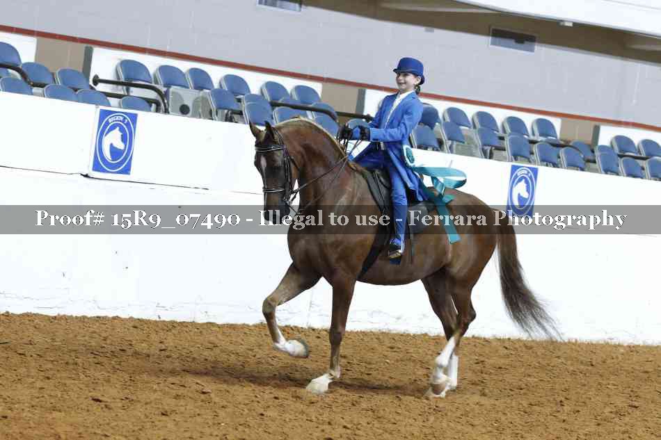 Proof Number 15R9_07490