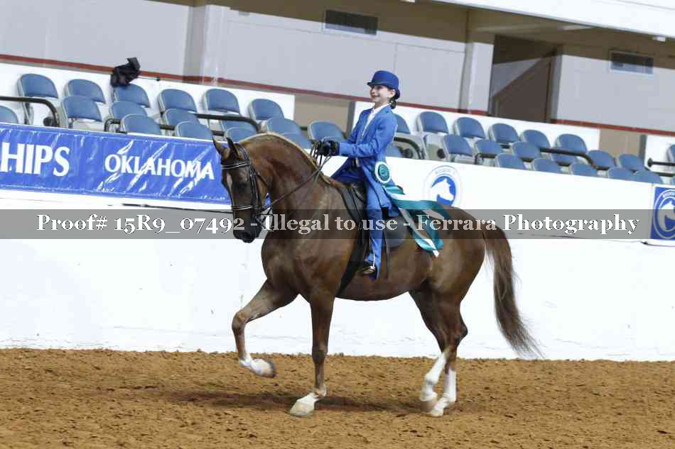 Proof Number 15R9_07492