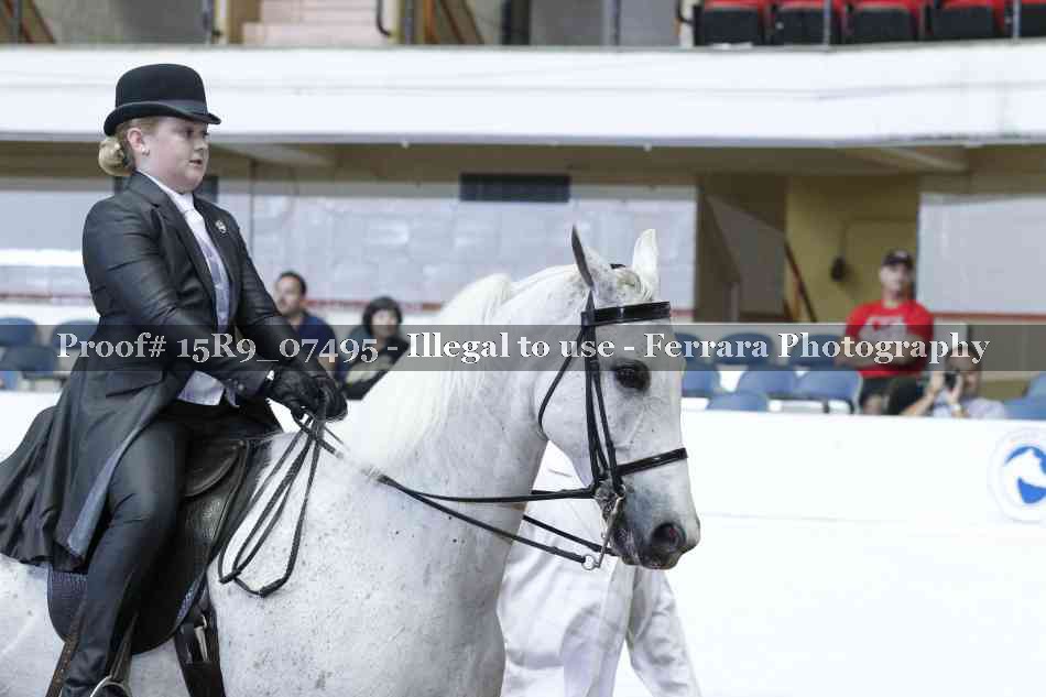 Proof Number 15R9_07495
