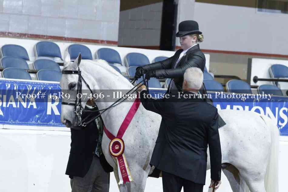 Proof Number 15R9_07496