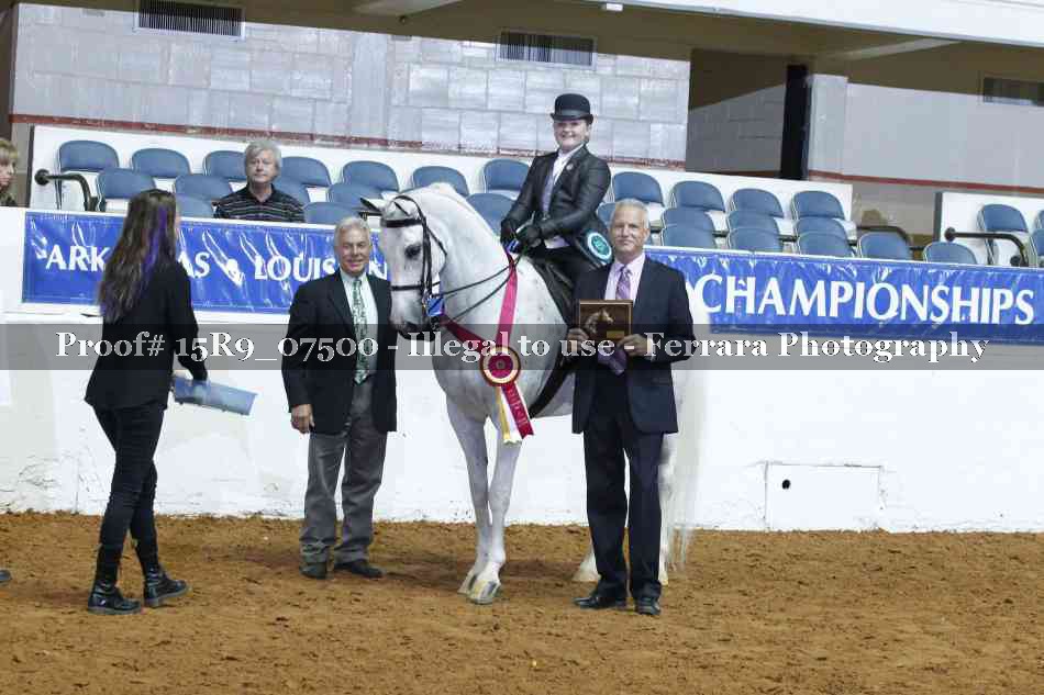 Proof Number 15R9_07500