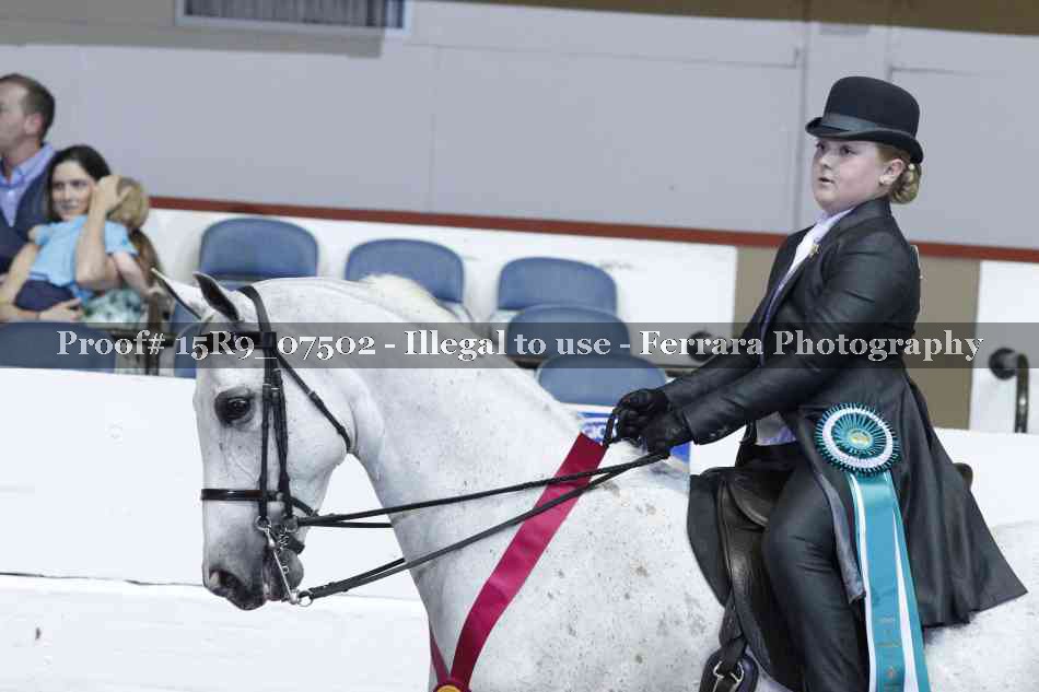 Proof Number 15R9_07502