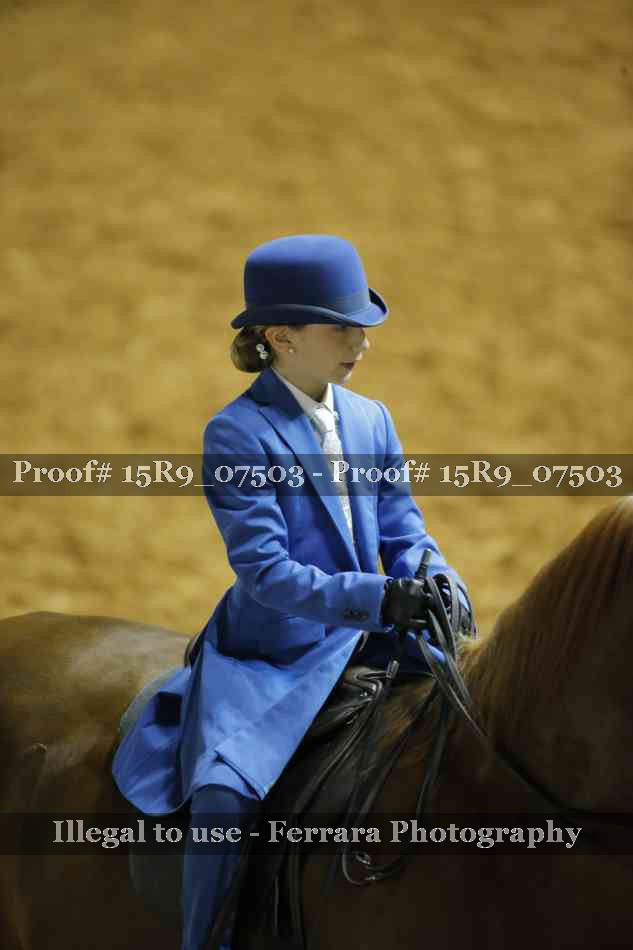 Proof Number 15R9_07503