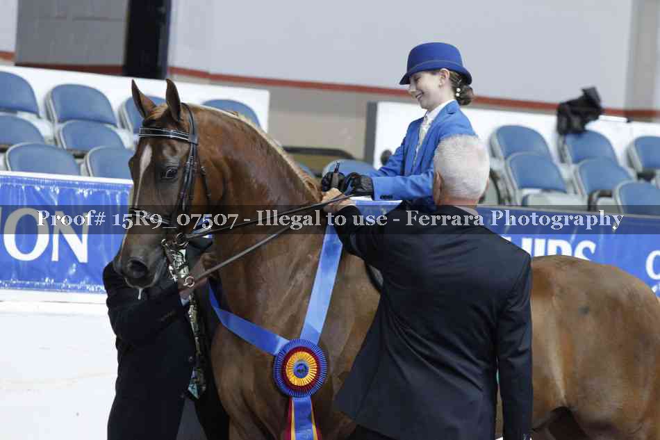 Proof Number 15R9_07507