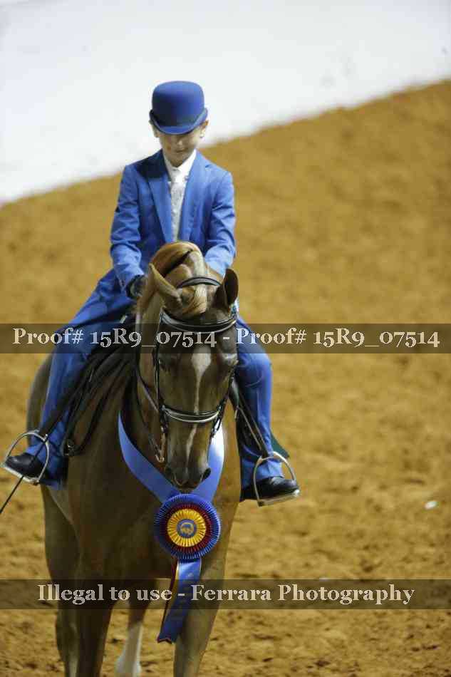 Proof Number 15R9_07514