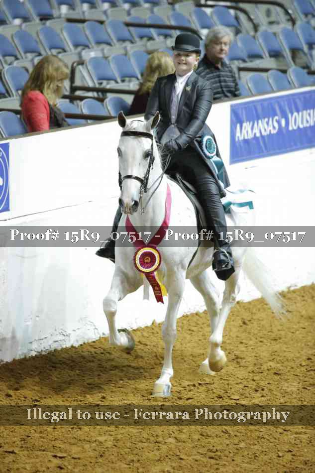 Proof Number 15R9_07517