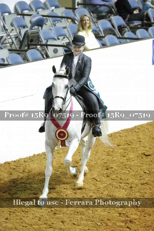 Proof Number 15R9_07519