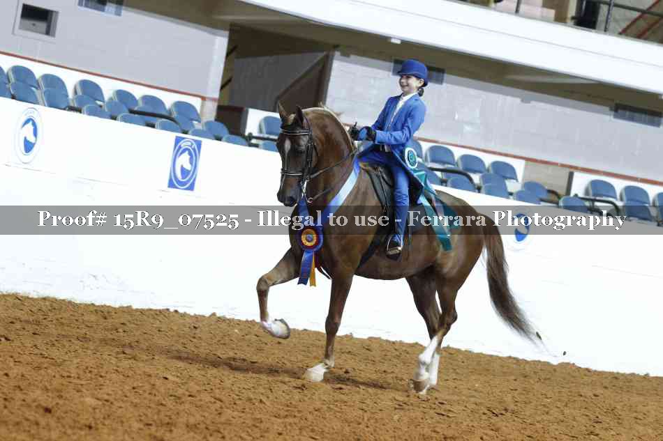 Proof Number 15R9_07525