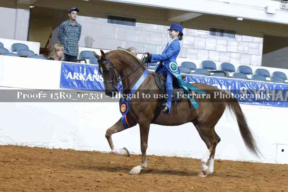 Proof Number 15R9_07531