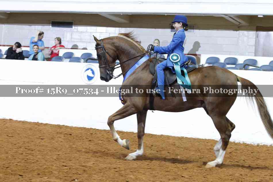 Proof Number 15R9_07534