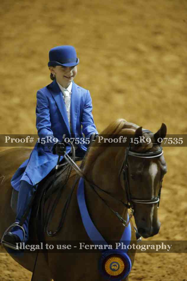 Proof Number 15R9_07535
