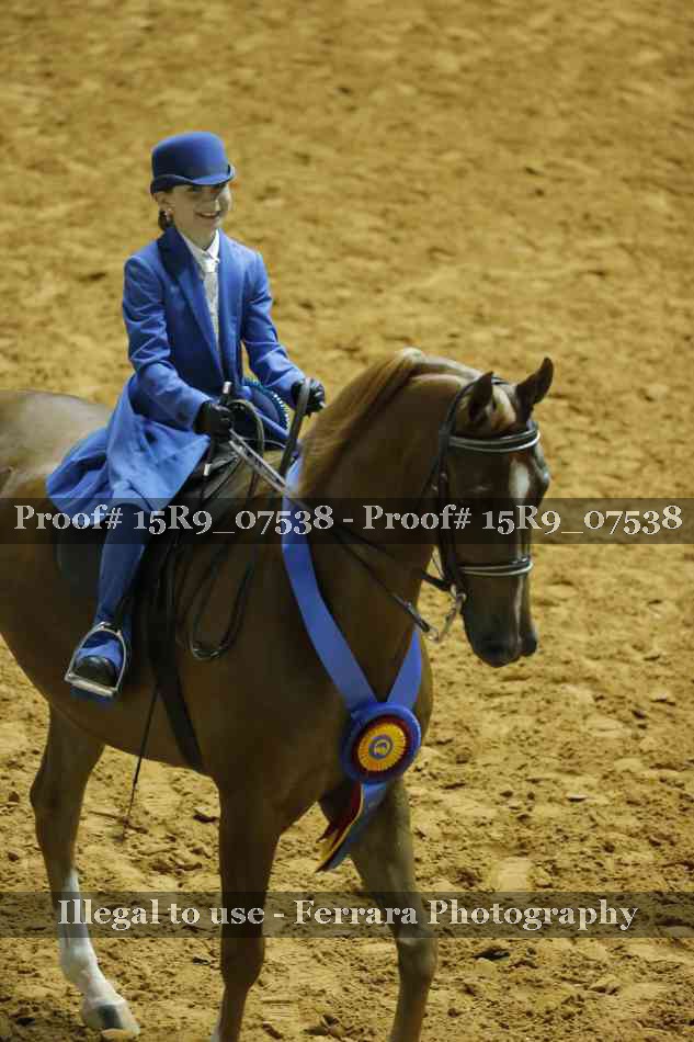 Proof Number 15R9_07538