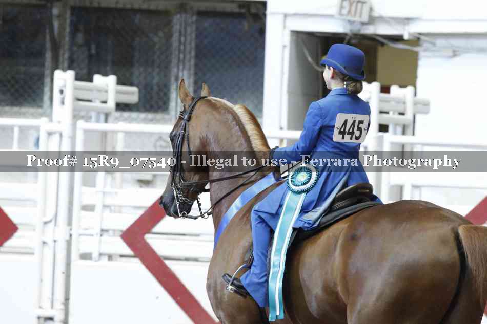 Proof Number 15R9_07540