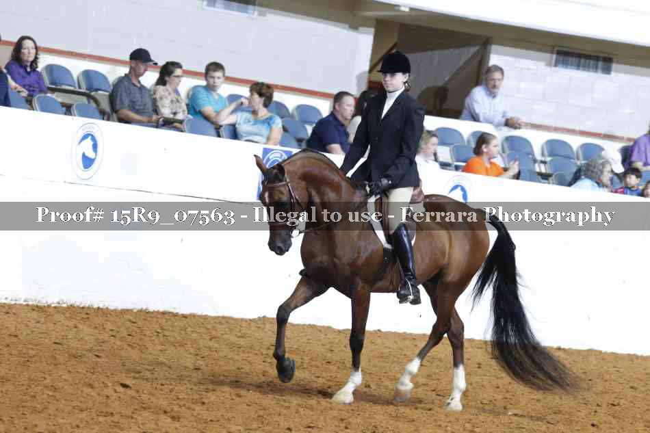 Proof Number 15R9_07563