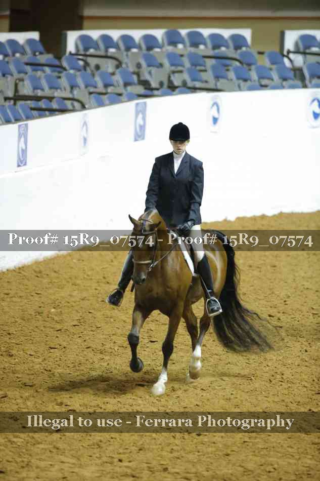 Proof Number 15R9_07574