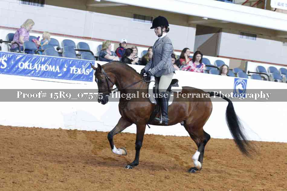 Proof Number 15R9_07575