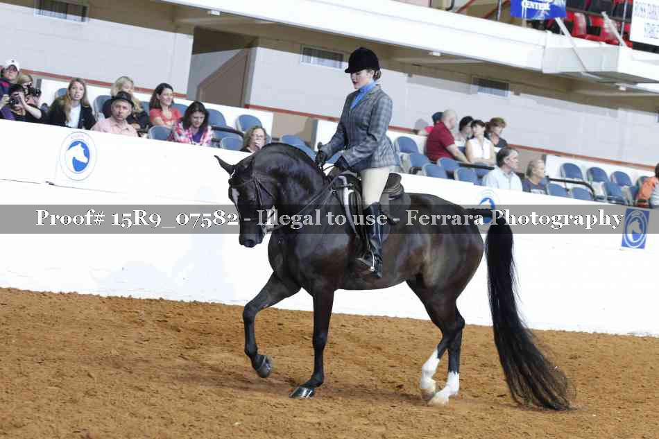 Proof Number 15R9_07582