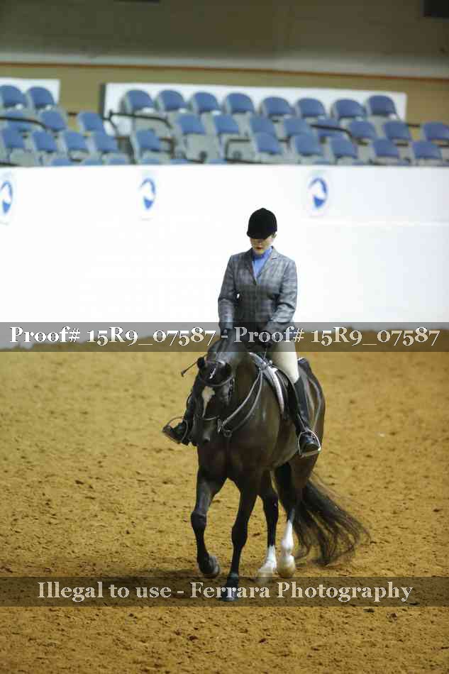 Proof Number 15R9_07587