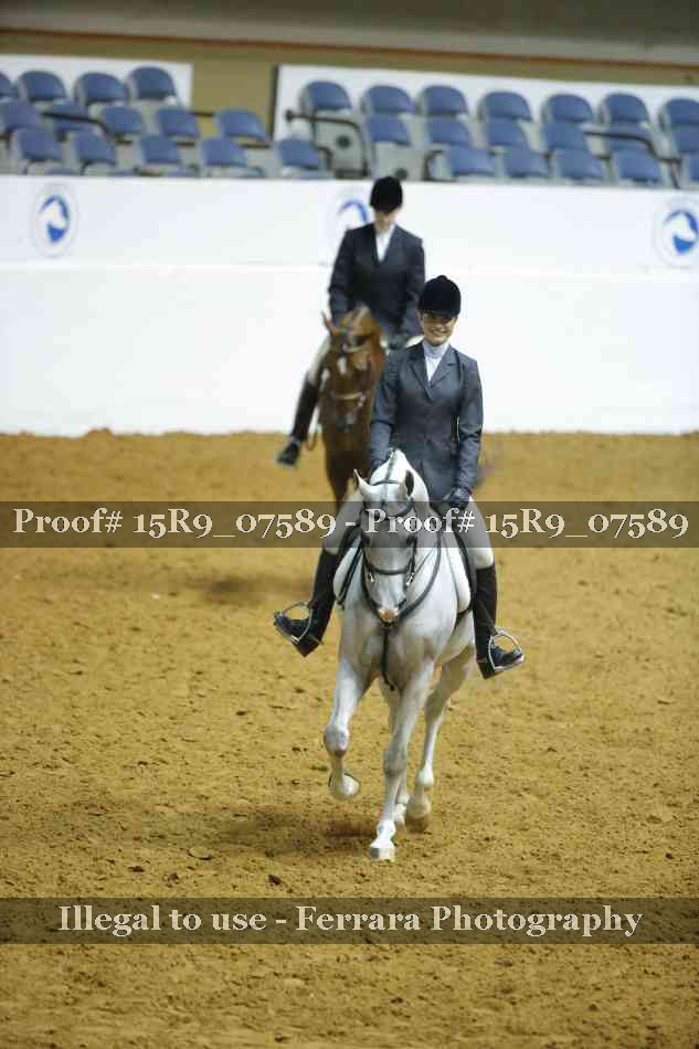 Proof Number 15R9_07589