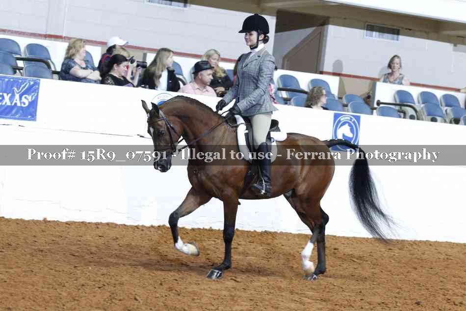 Proof Number 15R9_07591