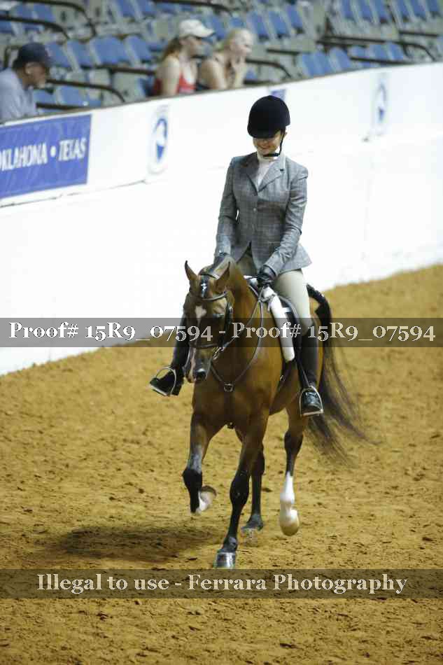 Proof Number 15R9_07594