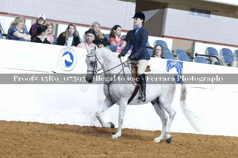 Proof Number 15R9_07595