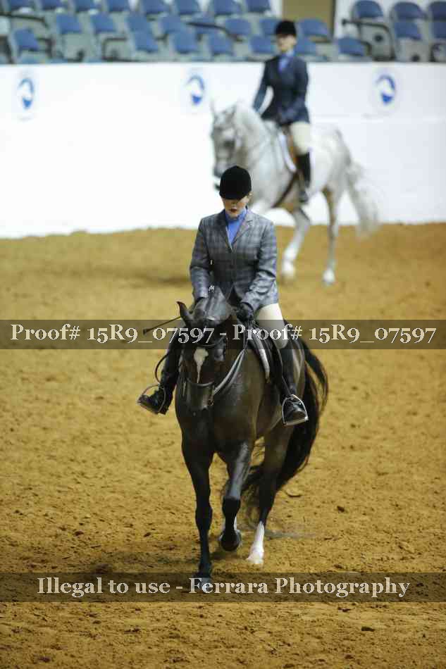 Proof Number 15R9_07597