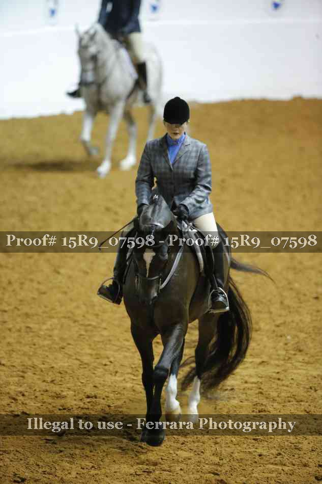 Proof Number 15R9_07598