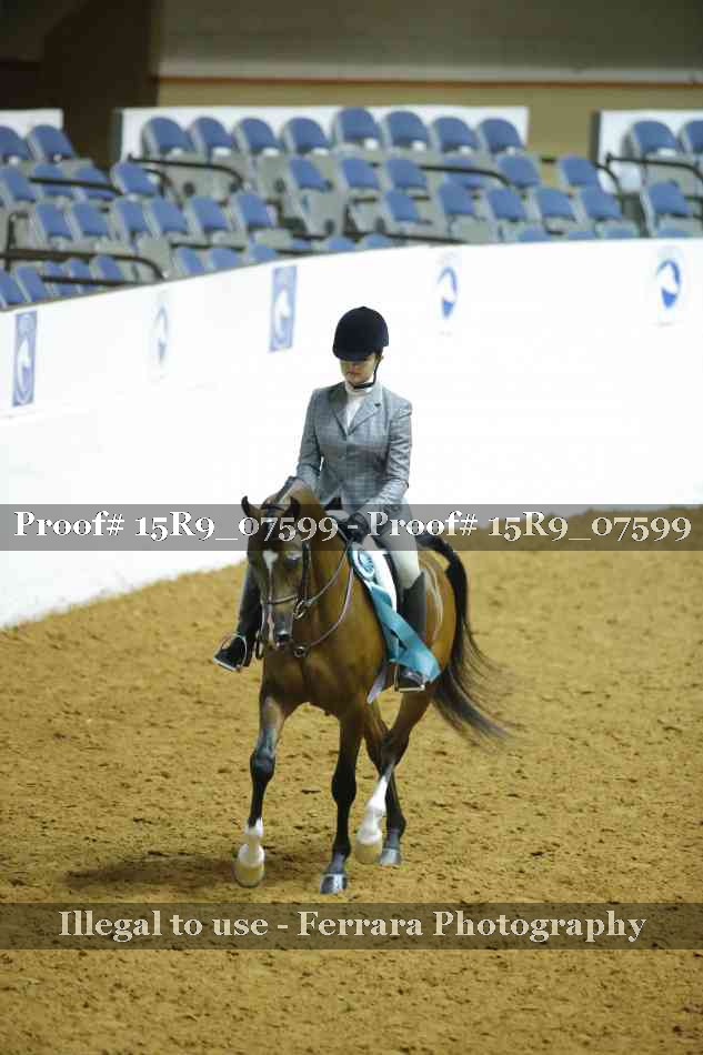 Proof Number 15R9_07599