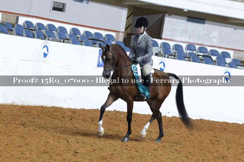 Proof Number 15R9_07600