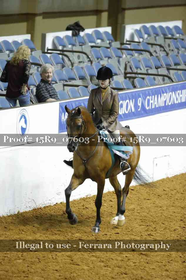 Proof Number 15R9_07603