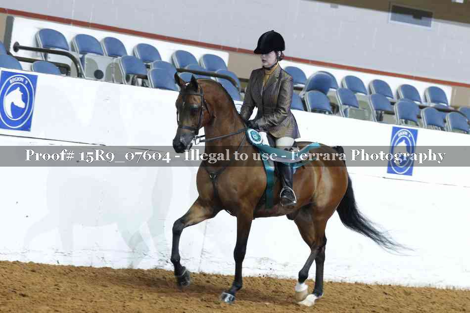 Proof Number 15R9_07604