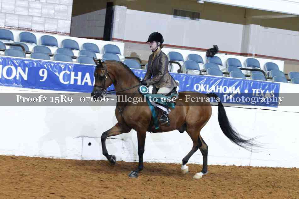 Proof Number 15R9_07606