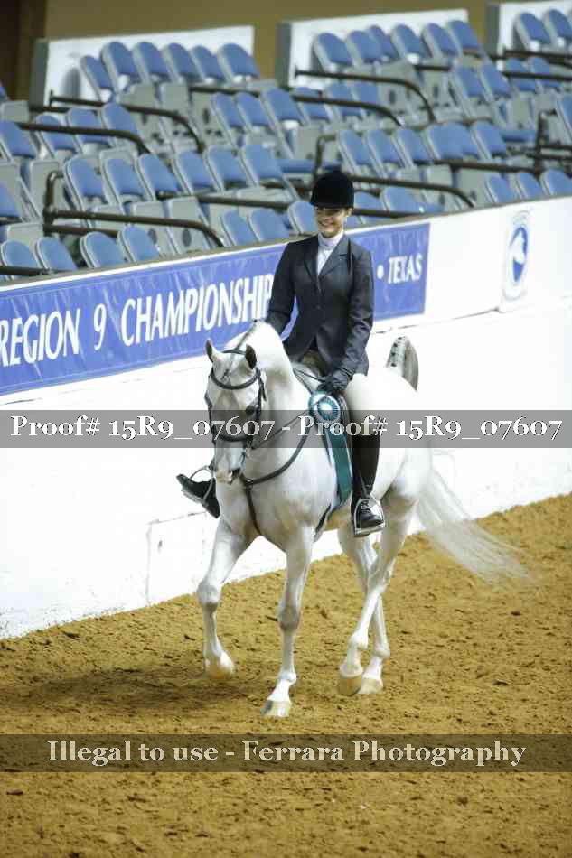 Proof Number 15R9_07607