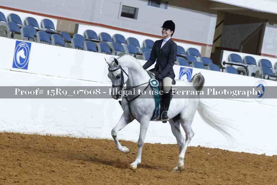 Proof Number 15R9_07608