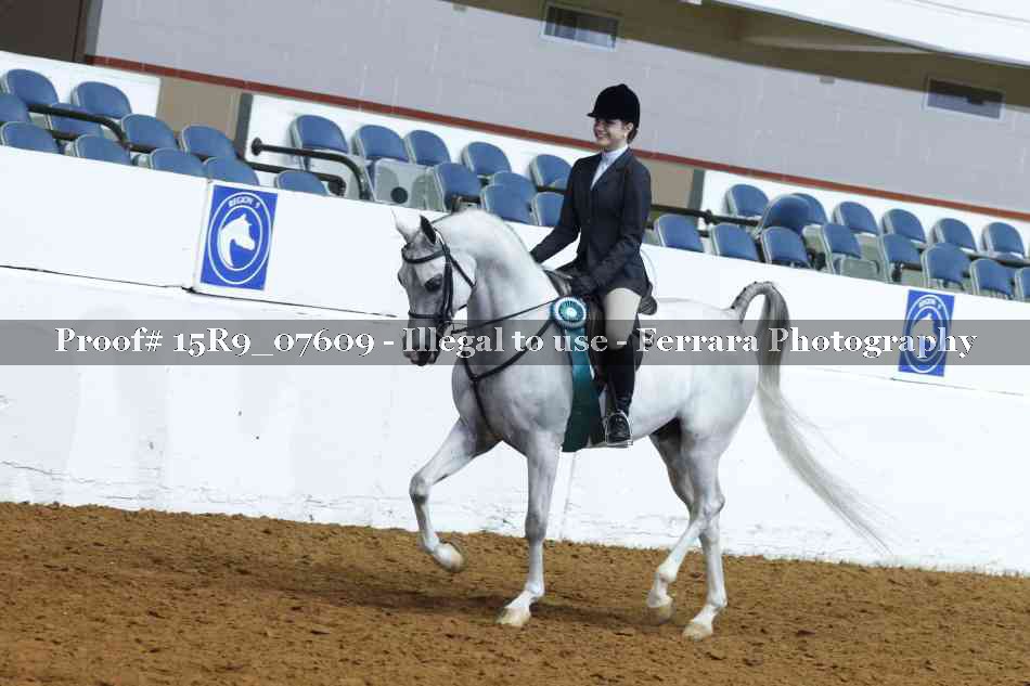 Proof Number 15R9_07609