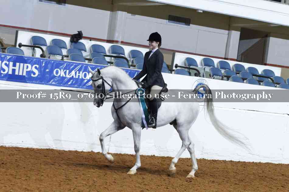 Proof Number 15R9_07610