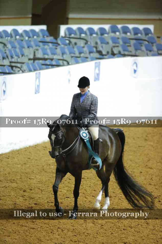 Proof Number 15R9_07611