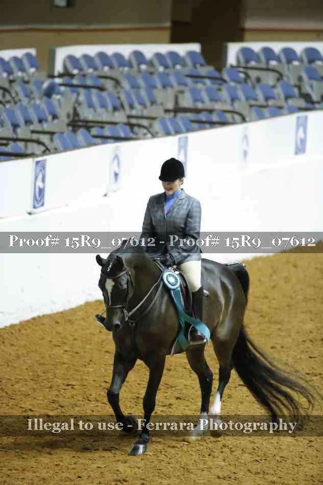 Proof Number 15R9_07612