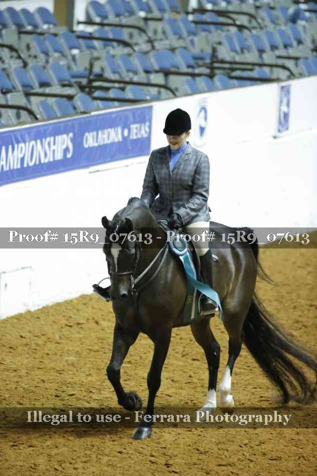Proof Number 15R9_07613