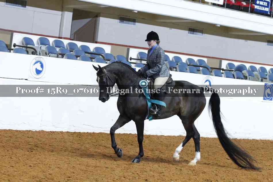 Proof Number 15R9_07616