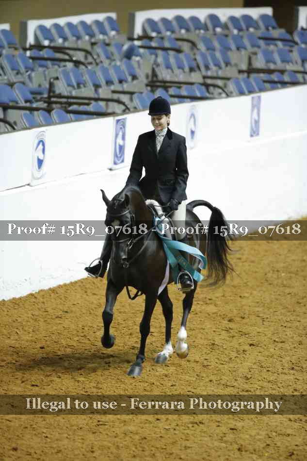 Proof Number 15R9_07618