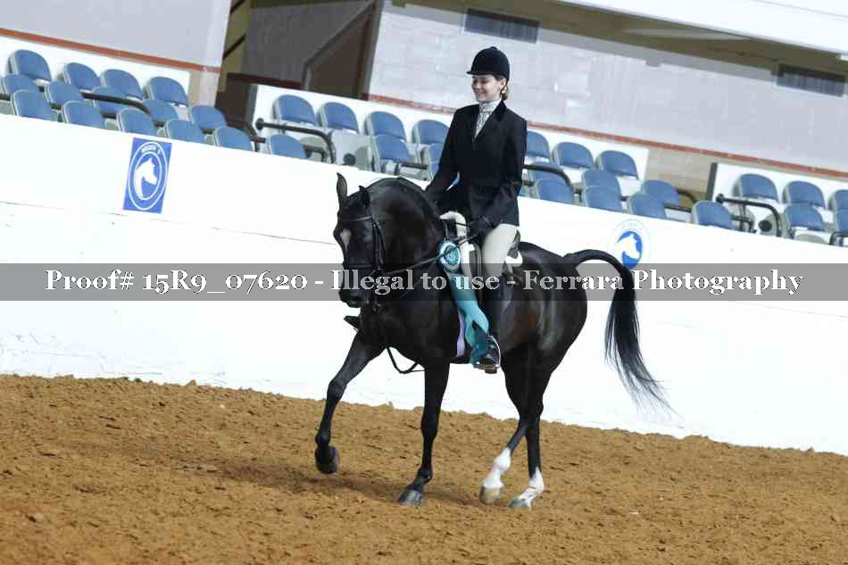 Proof Number 15R9_07620