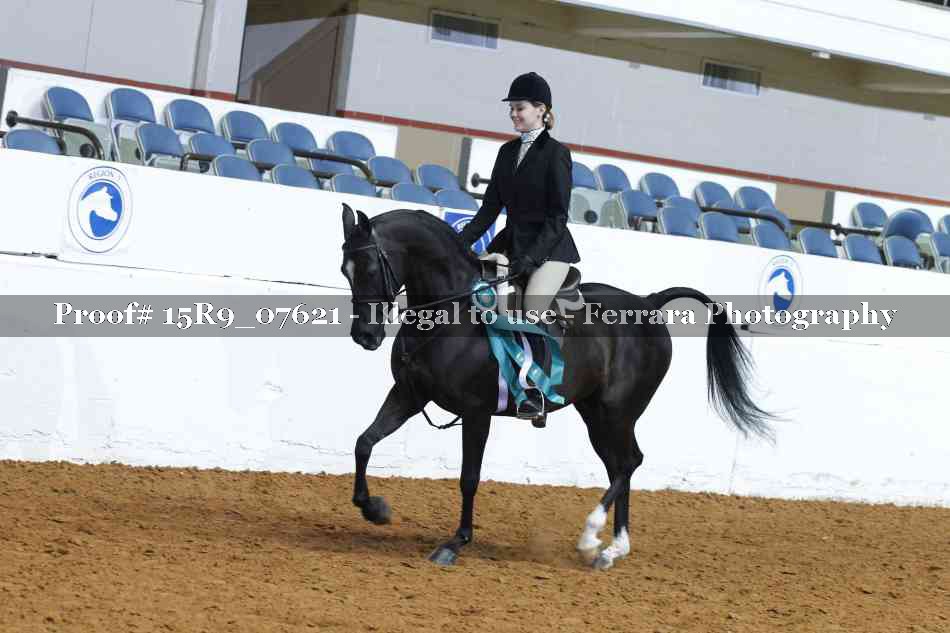 Proof Number 15R9_07621